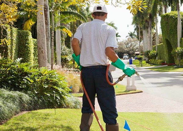 About Burson CA Pest Control